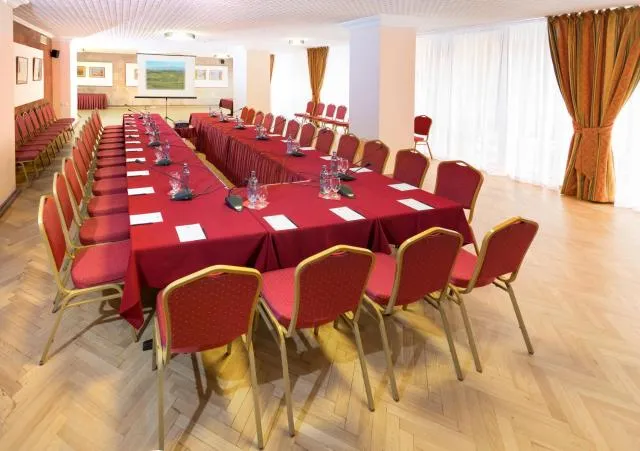  Ani Plaza Hotel - picture  : Meeting/conference room,Property 