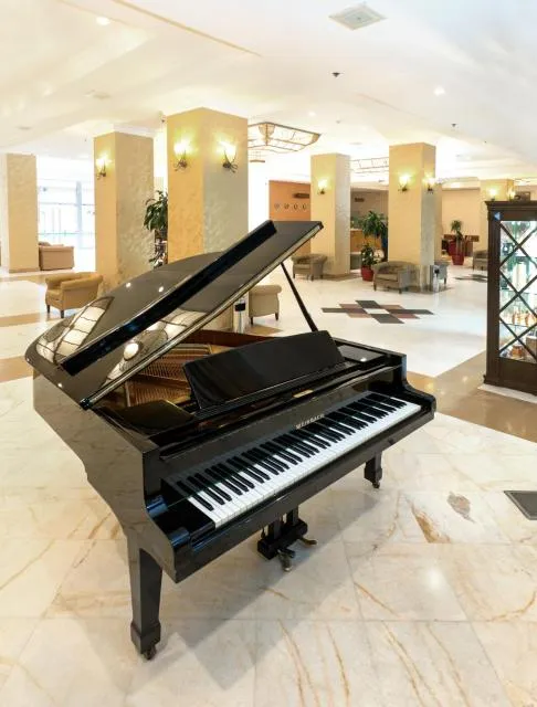  Ani Plaza Hotel - picture  : Fitness centre/facilities,Lobby or reception,Property 