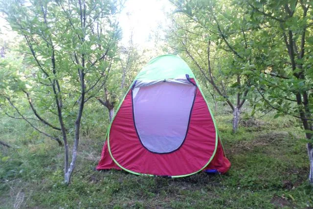  Spandaryan House - picture  : Property building,Spa/wellness,Garden,Garden view,Property 