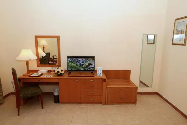  Sharjah Premiere Hotel & Resort - picture  : TV/entertainment centre,Decorative detail 