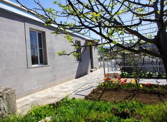  Lusya B&B - picture  : Patio/outdoor area,Garden,Facade/entrance,Property building,Street view,Property 