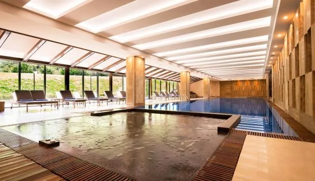  Radisson BLU Hotel Yerevan - picture  : Swimming pool,Spa/wellness,Swimming pool,Property 