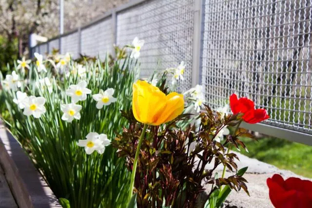  Lusya B&B - picture  : Activities,Property 