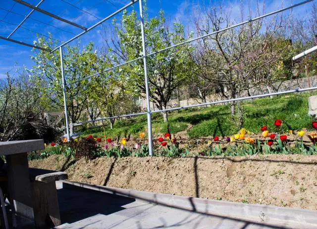  Lusya B&B - picture  : Balcony/terrace,View,BBQ facilities,Activities,Garden,Property 