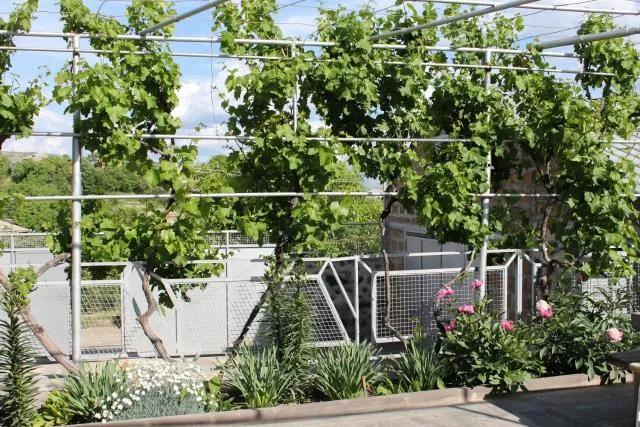  Lusya B&B - picture  : Facade/entrance,Property 