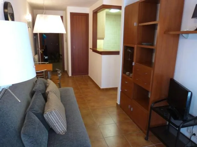  Cabirol-Vacances Pirinenca - picture  : Seating area,TV/entertainment centre,Business area/conference room,Living room,Property 