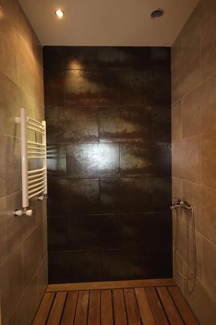  Metro apartment - picture  : Shower,Bathroom,Property 