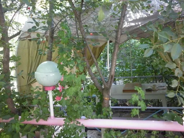  Guest House Dompolski - picture  : BBQ facilities,Garden,Property 