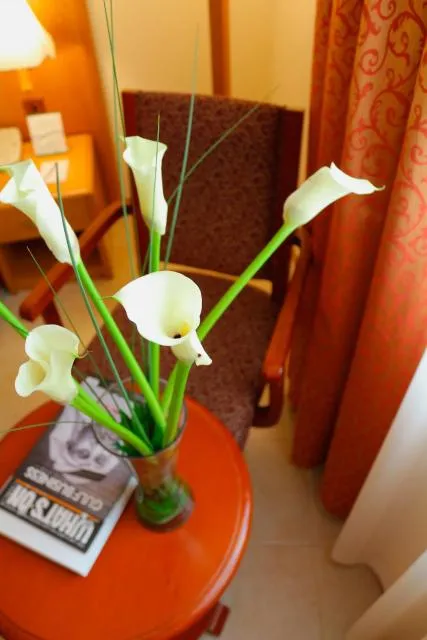  Sharjah Premiere Hotel & Resort - picture  : Facade/entrance,Food,Natural landscape,Decorative detail 