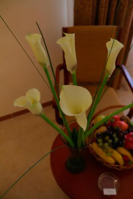  Sharjah Premiere Hotel & Resort - picture  : Dining area,Food,Food,Property 