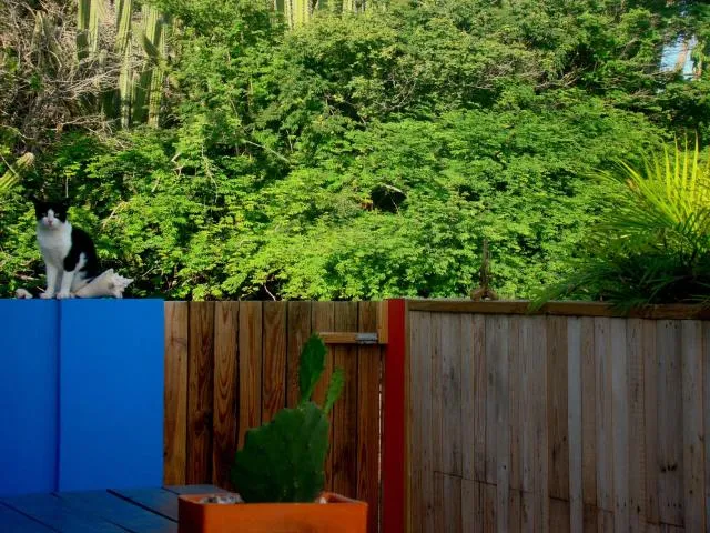  Hopi Cadushi Studio - picture  : Other 