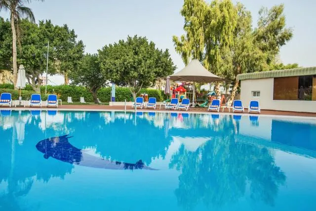  Hotel Holiday International - picture  : Swimming pool,Pool view,Swimming pool,Property 