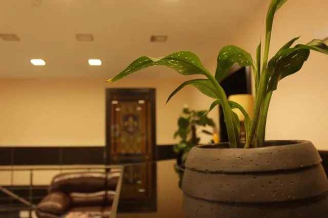  Hotel Lilia Yerevan - picture  : Seating area,Property 