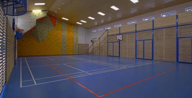  Hotel Emeran - picture  : Tennis/squash,Table tennis,Activities 