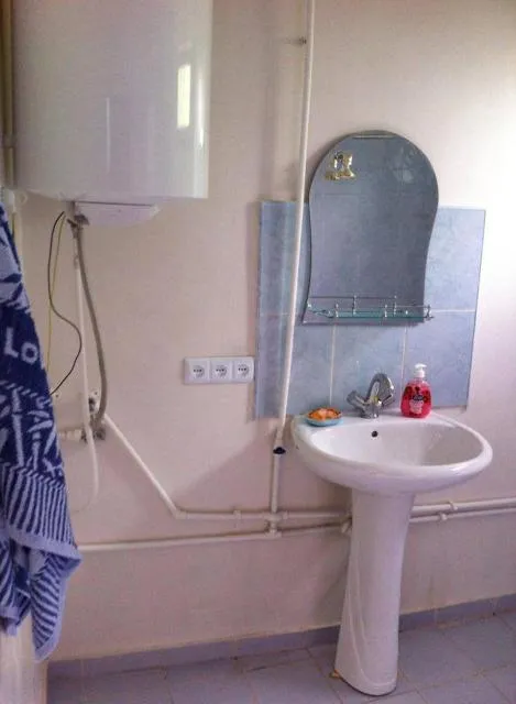  Anush`s B&B - picture  : Bathroom 