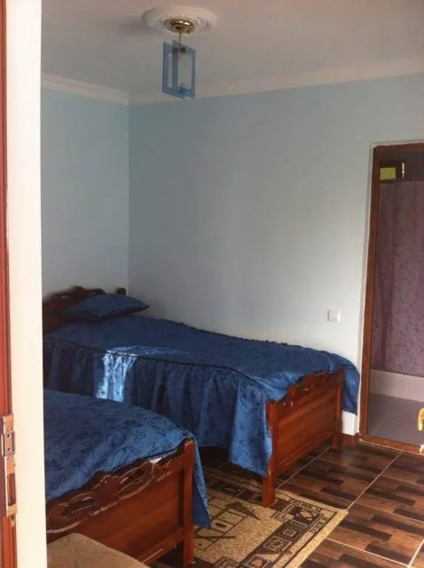  Anush`s B&B - picture  : Bed 