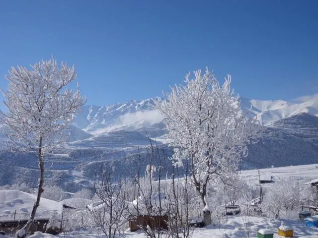  Anush`s B&B - picture  : Shower,Mountain view 