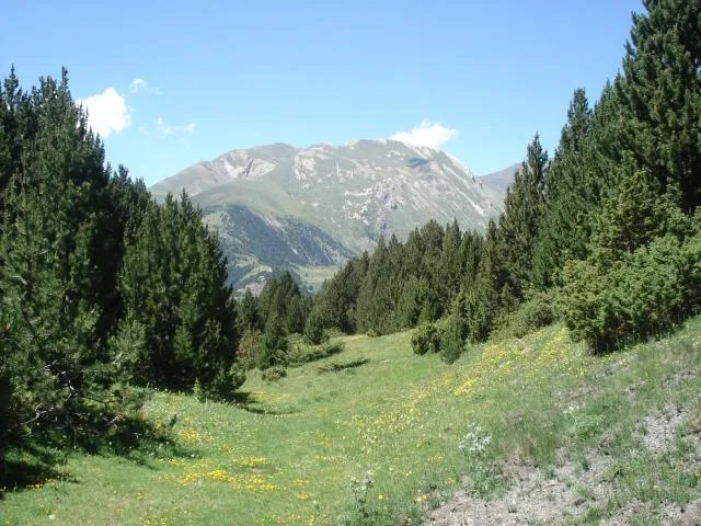  Chalet Riba - picture  : Natural landscape,Hiking,Property 