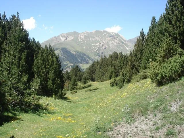  Chalet Las Avellanas - picture  : Natural landscape,Mountain view,Property 