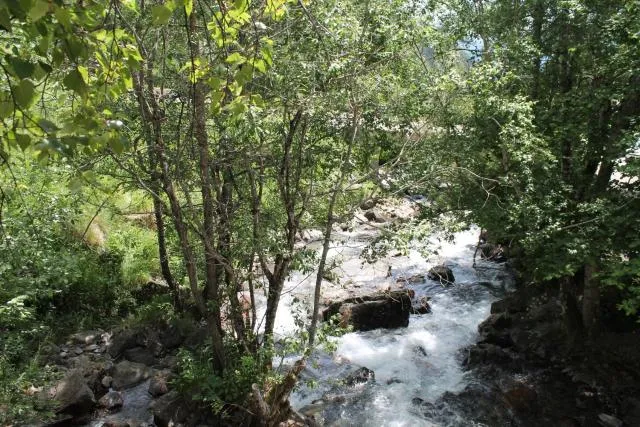  Chalet Las Avellanas - picture  : Other 