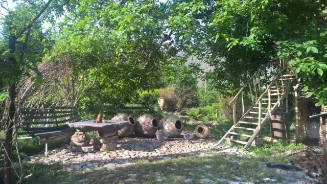  Areni House B&B - picture  : Patio,Garden,BBQ facilities,Garden,Property 