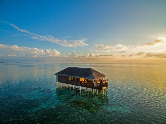 Medhufushi Island Resort — photo 19