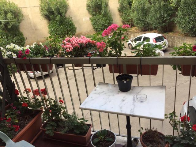 Albergo Cinzia — photo 22