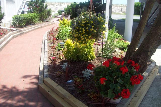 Adams Ocean Front Resort — photo 21