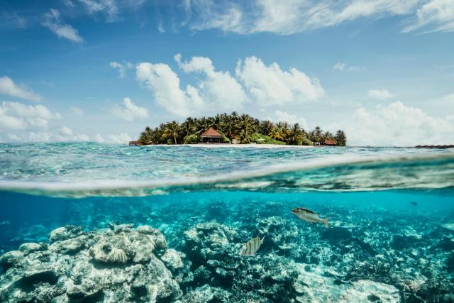 Standard Villa — ROBINSON MALDIVES