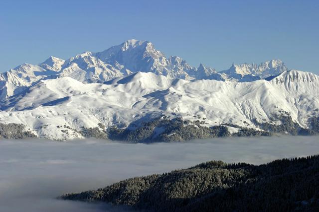 Hotel des Alpes — photo 22