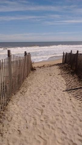 Adams Ocean Front Resort — photo 13