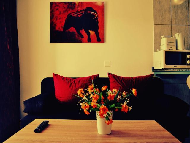 Aparthotel MONTERREY — photo 22