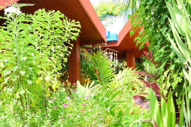 Beach Villa Ukulhas — photo 17
