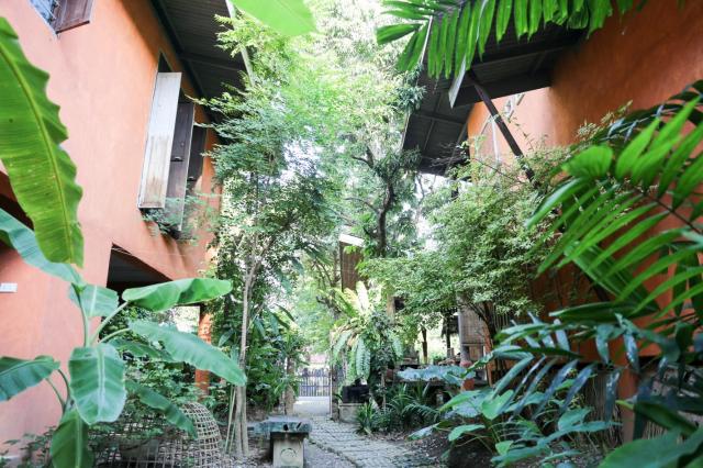 Baannoi Nornmuan retreat vacation rental & workshop Chiang Mai — photo 19