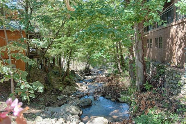 Old Creek Lodge — photo 14