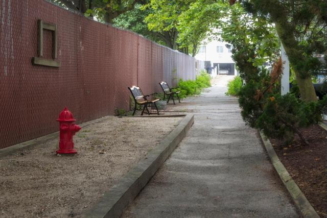Barefoot Mailman — photo 11