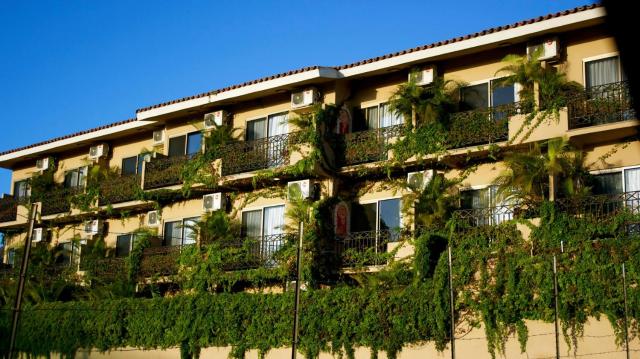 Cabo Vista Hotel Adults Only — photo 7