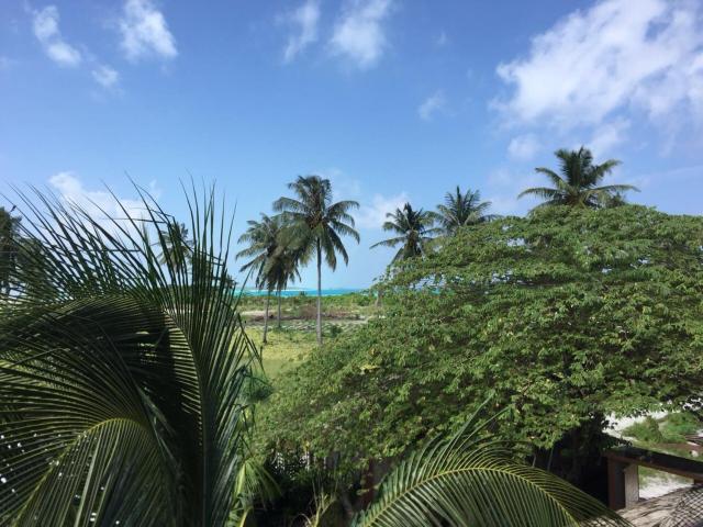 Shamar Guesthouse & Dive — photo 15