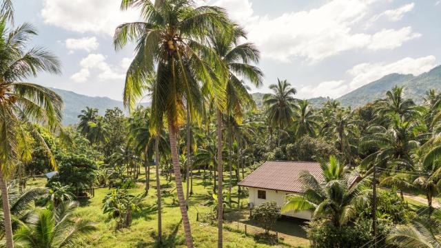 Mythai Guesthouse — photo 16
