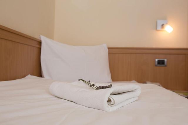 Hotel Tomislavov Dom — photo 8