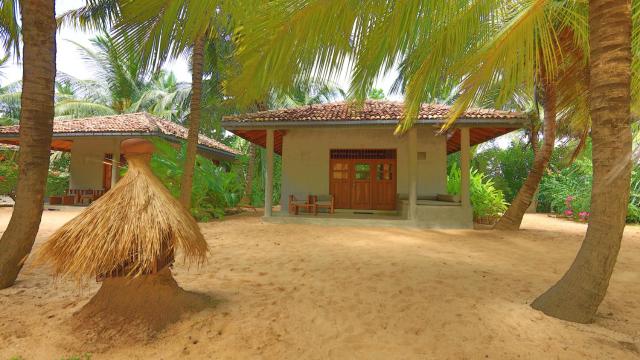 Mangrove Beach Chalets — photo 22