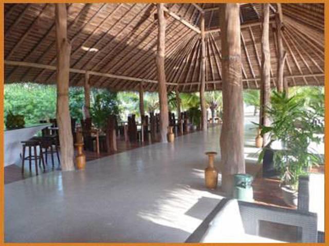 Mangrove Beach Chalets — photo 4