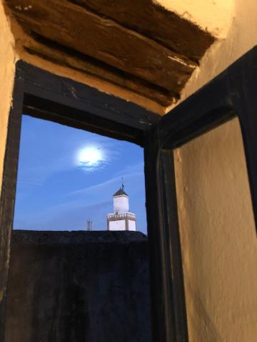 Riad De La Mer — photo 20
