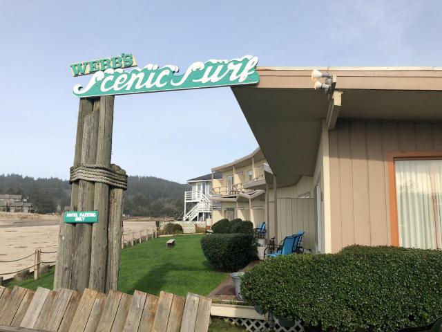 Webb's Scenic Surf — photo 11