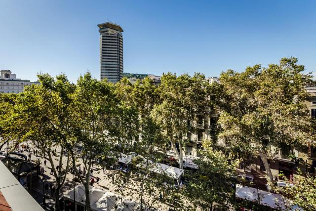 Ikonik Ramblas — photo 6