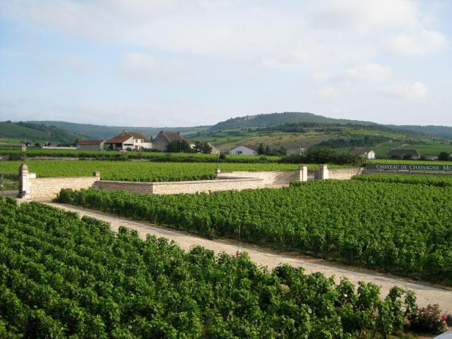 Chateau de Chassagne-Montrachet — photo 21