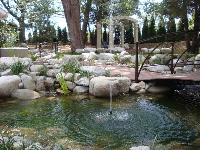 Giant Oaks Lodge — photo 22