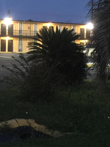 Hope Inn — photo 19