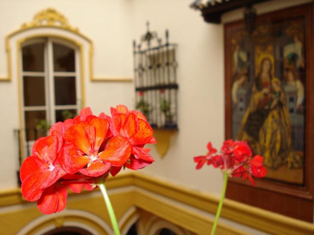 Hotel Abanico Casa Palacio — photo 18