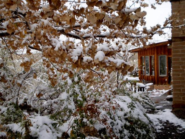 Silver River Adobe Inn Bed and Breakfast — photo 8